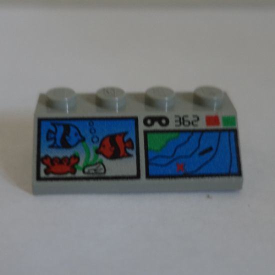 Slope 45 2 x 4 with Fish and Terrain Map Pattern