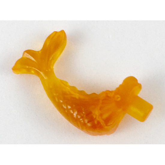 Fish, Ornamental