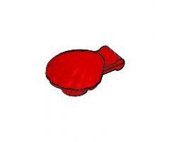 Clam, Type 1 - Continuous Scalloped Inner Lip