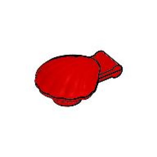Clam, Type 1 - Continuous Scalloped Inner Lip