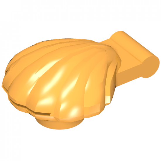 Clam, Type 1 - Continuous Scalloped Inner Lip