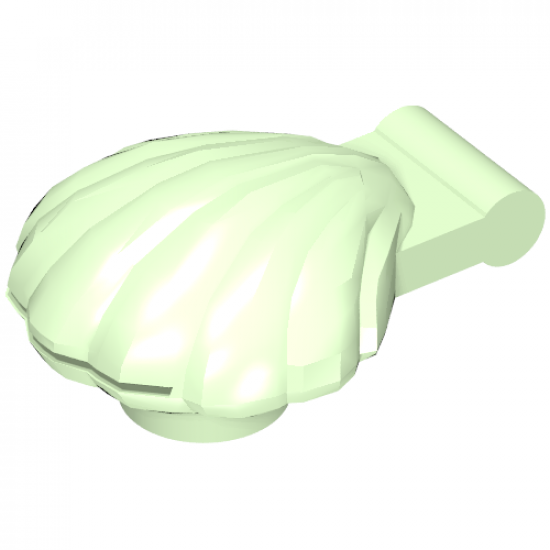 Clam, Type 1 - Continuous Scalloped Inner Lip