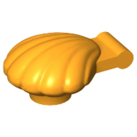 Clam, Type 1 - Continuous Scalloped Inner Lip
