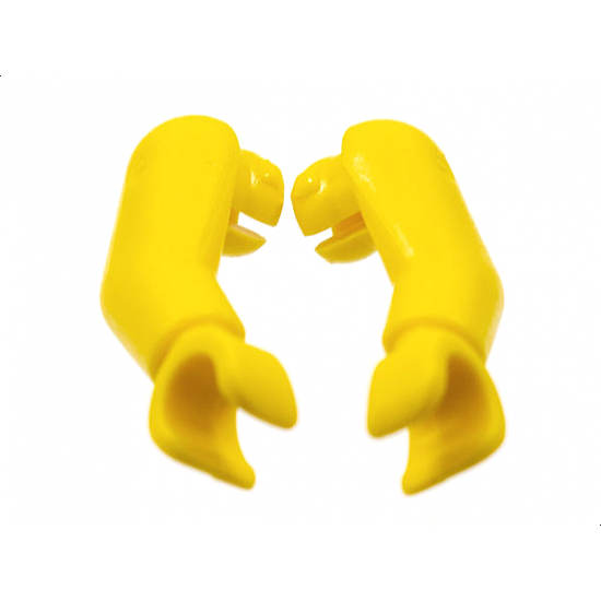 Arm/Hand, (Matching Left and Right) Pair - from NBA