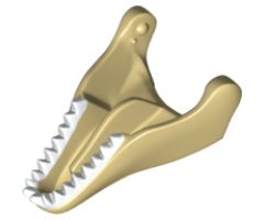 Animal, Body Part Dinosaur Jaw Lower Tyrannosaurus rex with White Teeth Pattern