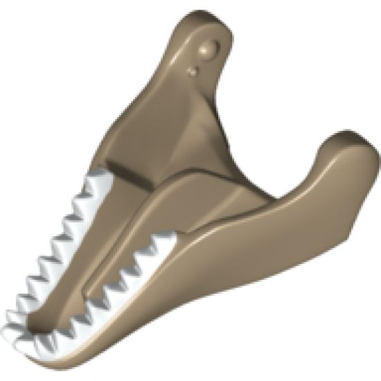 Animal, Body Part Dinosaur Jaw Lower Tyrannosaurus rex with White Teeth Pattern
