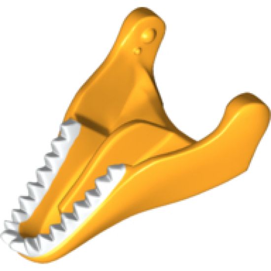 Animal, Body Part Dinosaur Jaw Lower Tyrannosaurus rex with White Teeth Pattern
