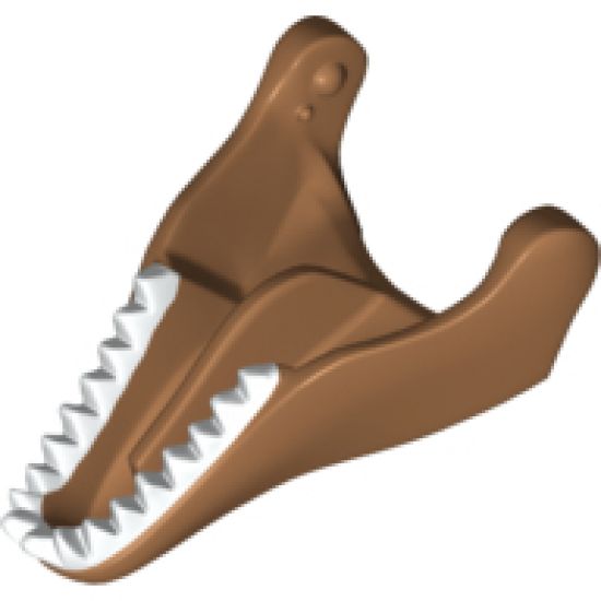 Animal, Body Part Dinosaur Jaw Lower Tyrannosaurus rex with White Teeth Pattern