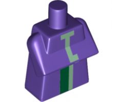 Torso, Modified Long with Folded Arms with Minecraft Witch Pattern