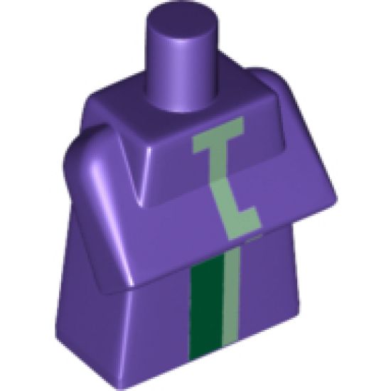 Torso, Modified Long with Folded Arms with Minecraft Witch Pattern