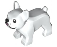 Dog, French Bulldog with Black Eyes, Nose, Mouth, Bright Pink Tongue and Light Bluish Gray around Right Eye Pattern