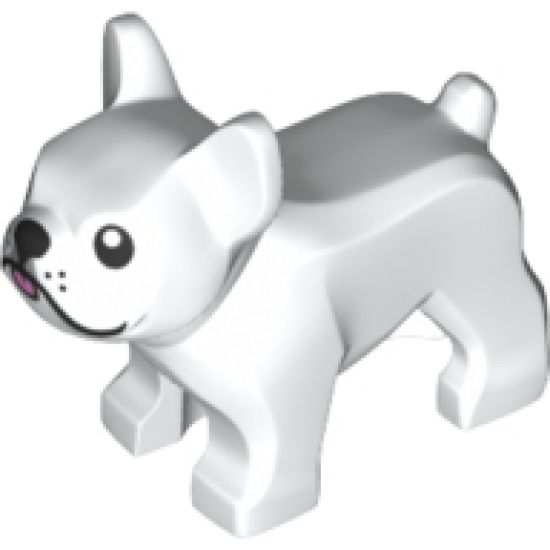 Dog, French Bulldog with Black Eyes, Nose, Mouth, Bright Pink Tongue and Light Bluish Gray around Right Eye Pattern