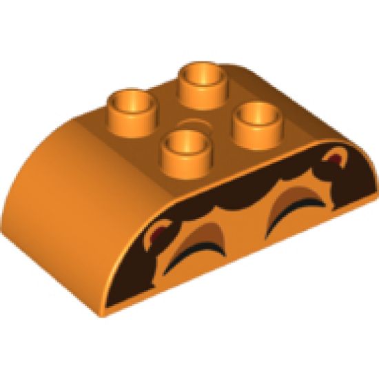 Duplo, Brick 2 x 4 Curved Top with Lion Mane and Eyebrows Pattern