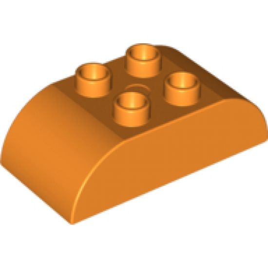 Duplo, Brick 2 x 4 Curved Top