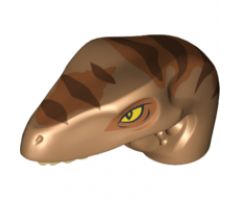Animal, Body Part Dinosaur Head Raptor with Pin Hole, Tan Teeth and Dark Orange and Dark Brown Stripes Pattern