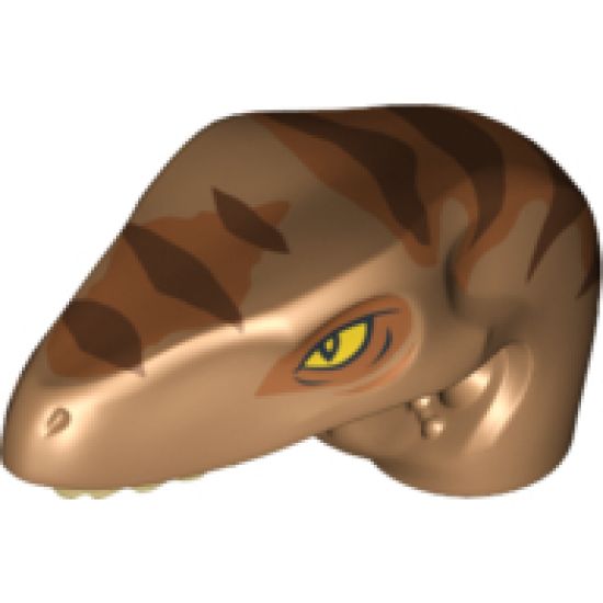 Animal, Body Part Dinosaur Head Raptor with Pin Hole, Tan Teeth and Dark Orange and Dark Brown Stripes Pattern