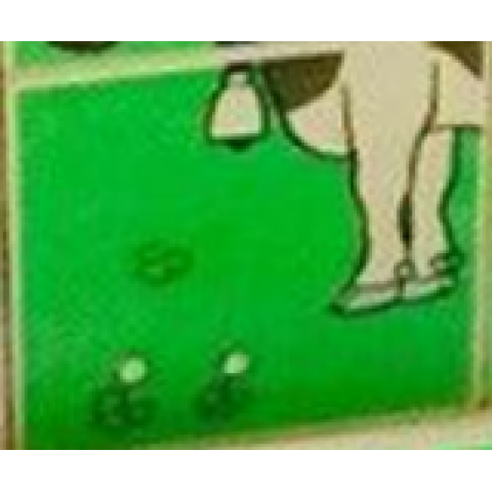 Duplo, Tile 2 x 2 x 1 with Farming Mosaic Picture 17 Pattern (Set 9220)