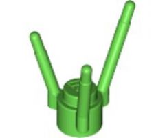 Plant Flower Stem