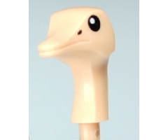 Animal, Body Part Ostrich Head with Black Eyes Pattern
