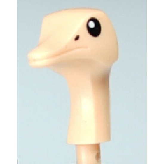 Animal, Body Part Ostrich Head with Black Eyes Pattern