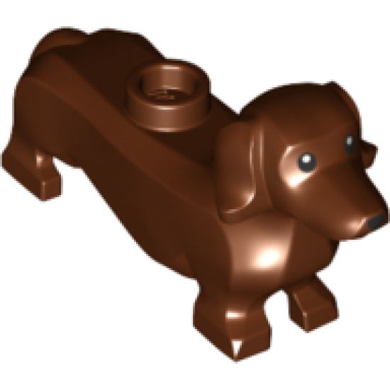 Dog, Dachshund with Black Eyes and Nose Pattern