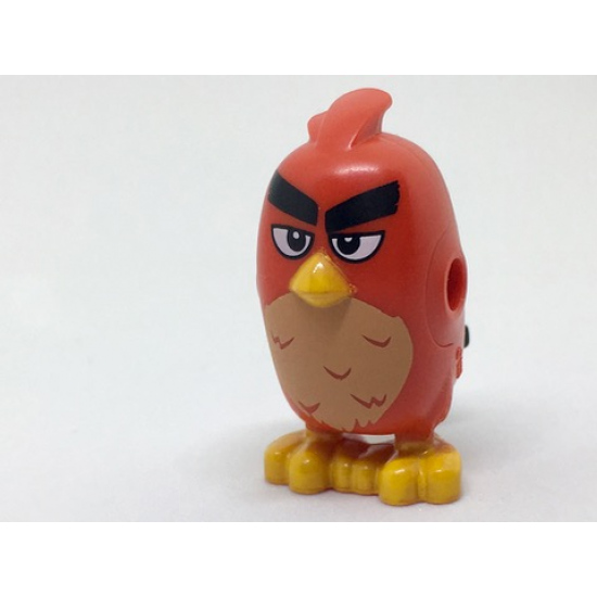 Body Angry Birds with Red Bird 5 Pattern