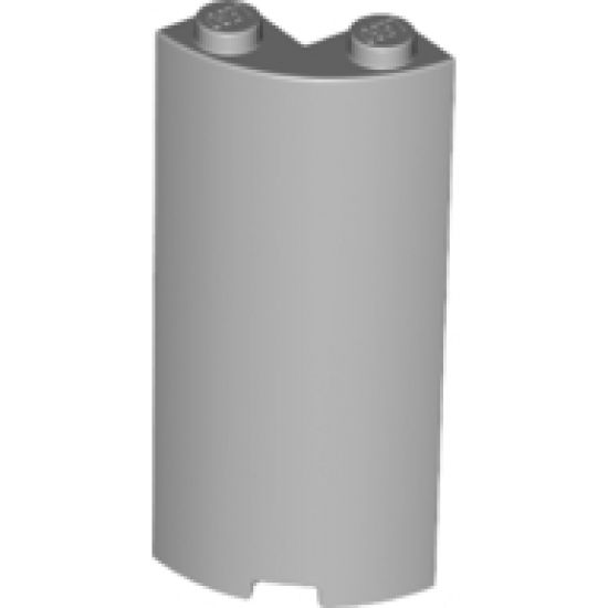 Cylinder Quarter 2 x 2 x 5 with 1 x 1 Cutout