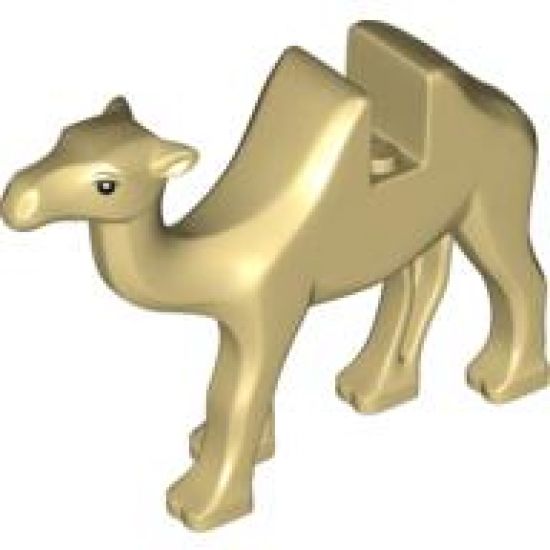 Camel with Black Eyes and White Pupils Pattern