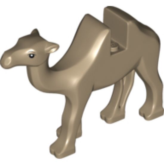 Camel with Black Eyes and White Pupils Pattern