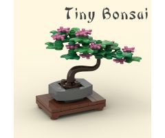 Tiny Bonsai Tree