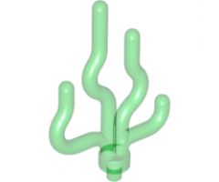 Plant Sea Grass / Seaweed