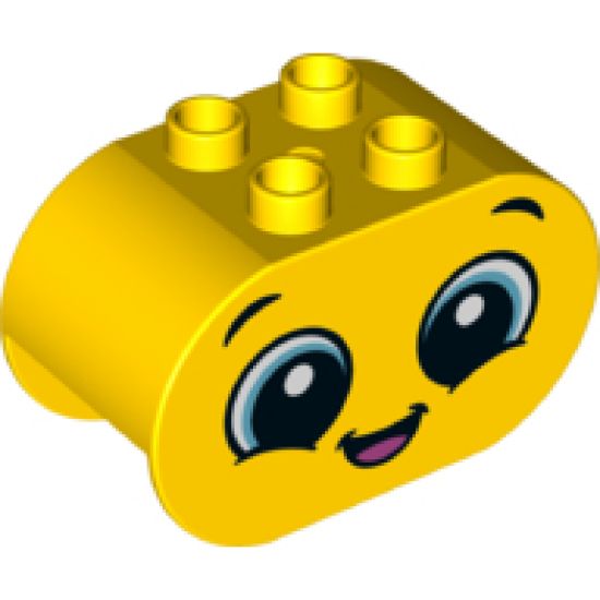 Duplo, Brick 2 x 4 x 2 Rounded Ends with Happy Face and Sad Face on Reverse Pattern
