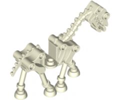 Horse, Skeletal / Skeleton