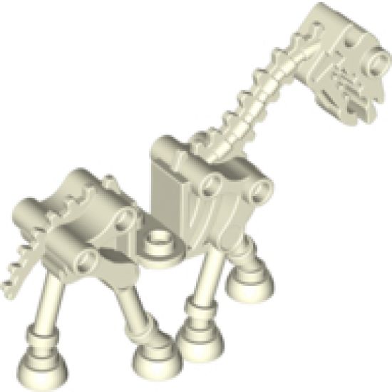 Horse, Skeletal / Skeleton