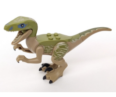 Animal, Dinosaur Raptor / Velociraptor with Olive Green Back and Tan Markings (Jurassic World Delta)