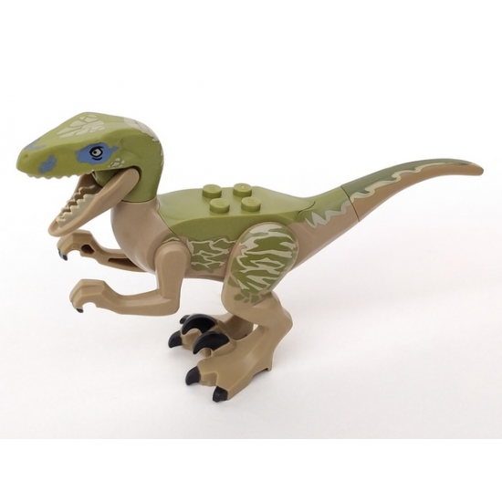 Animal, Dinosaur Raptor / Velociraptor with Olive Green Back and Tan Markings (Jurassic World Delta)