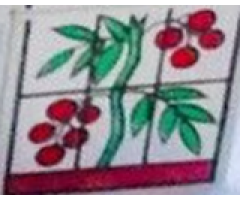 Duplo, Tile 2 x 2 x 1 with Outdoors Mosaic Picture 18 Pattern (Set 9220)
