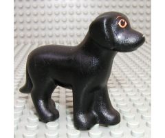 Dog, Belville, Standing with Orange Eyes and Eyebrows and White Nose Pattern