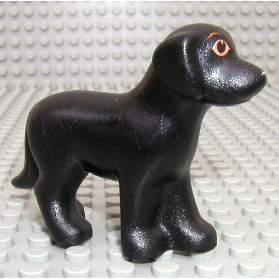 Dog, Belville, Standing with Orange Eyes and Eyebrows and White Nose Pattern