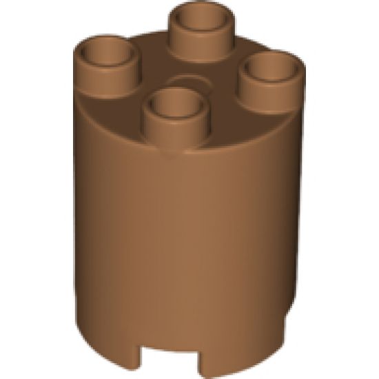 Duplo, Brick Round 2 x 2 x 2