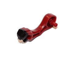 Animal, Body Part Dragon Arm with Black Claws Pattern Right