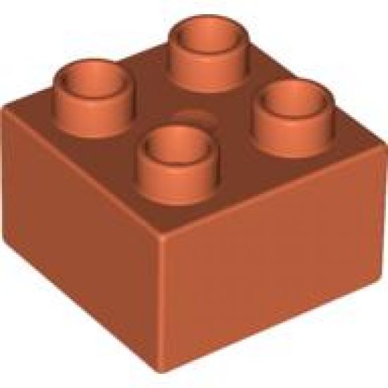 Duplo, Brick 2 x 2