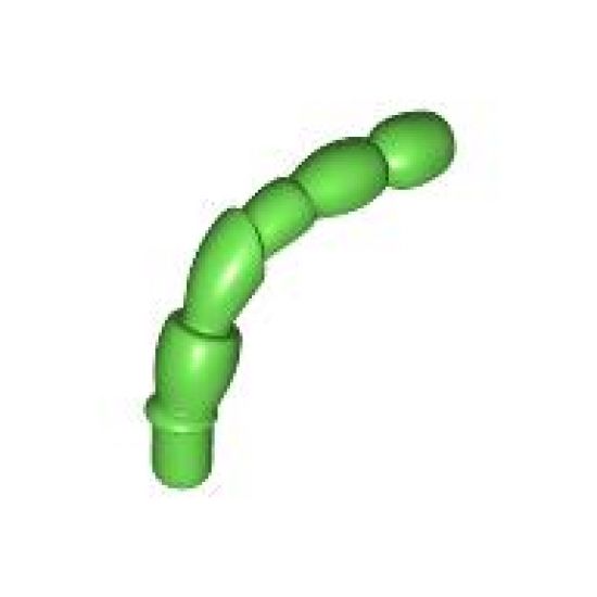 Antenna, Insect