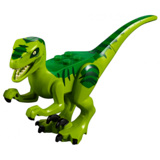 Animal, Dinosaur Raptor / Velociraptor with Green Back