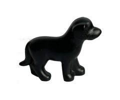 Dog, Belville, Standing
