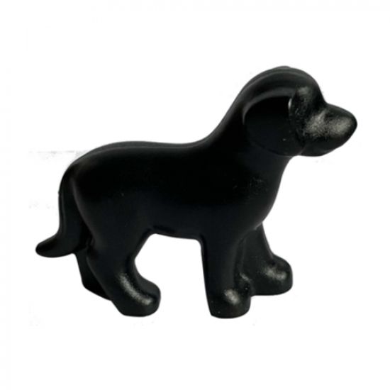 Dog, Belville, Standing