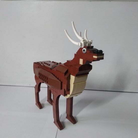 Deer