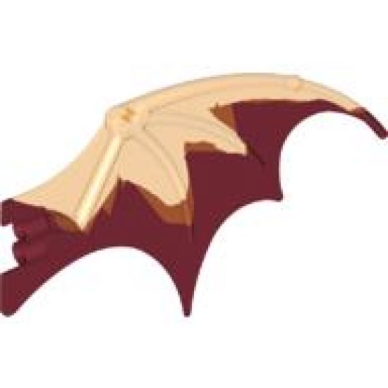 Animal, Body Part Dragon Wing 19 x 11 with Marbled Orange Trailing Edge Pattern