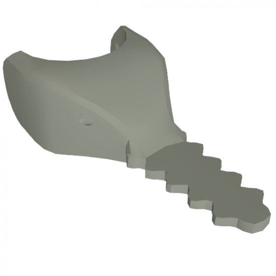 Animal, Body Part Shark Head Sawfish