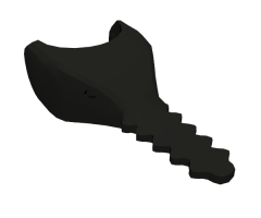 Animal, Body Part Shark Head Sawfish